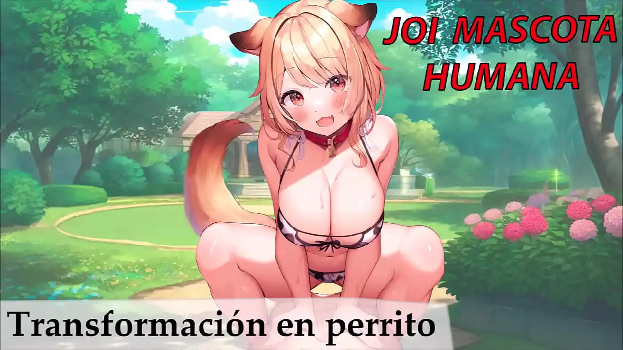 JOI em espanhol para escravas sexuais. Transformação em cachorrinho.