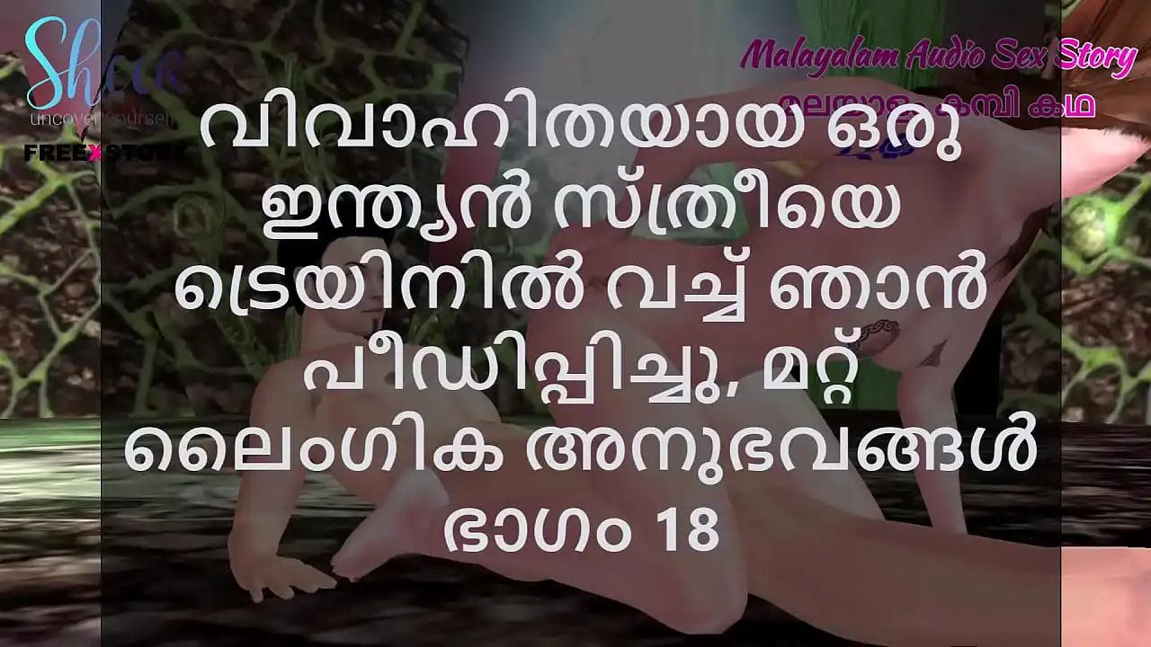 Malayalam Sex Story - Eu comi uma mulher indiana casada no trem e outras experiências sexuais, parte 18