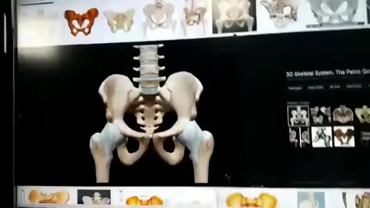 Anti otako Skeleton Masturbation