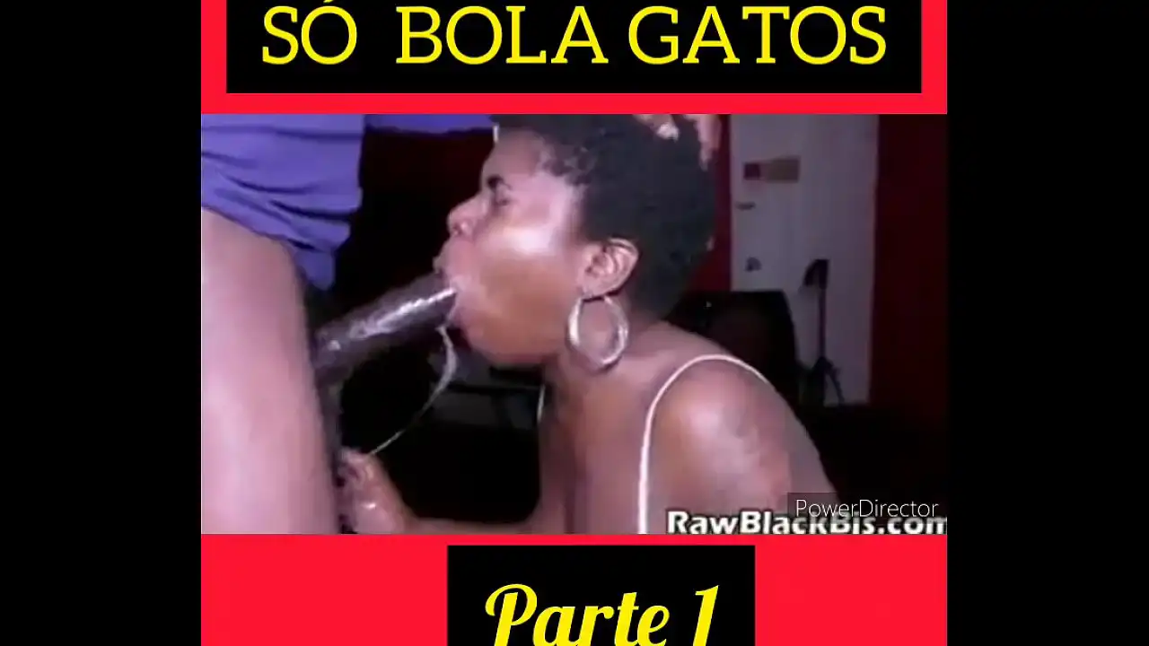 SÓ BOLA GATOS PARTE 1